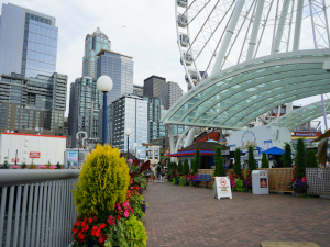 The Seattle Great Wheel - Pier 57Seattle, WA